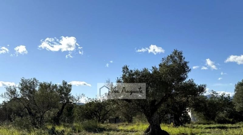 Tarragona - l'Ametlla de Mar - 24000m2