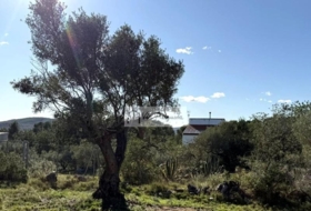 l'Ametlla de Mar 24000&nbsp;м²