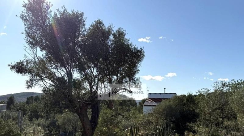 Tarragona - l'Ametlla de Mar - 24000m2