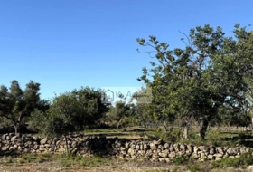 l'Ametlla de Mar 24000&nbsp;м²