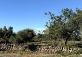Non-developable land for sale on España, l'Ametlla de Mar, ref: TR362830 photo
