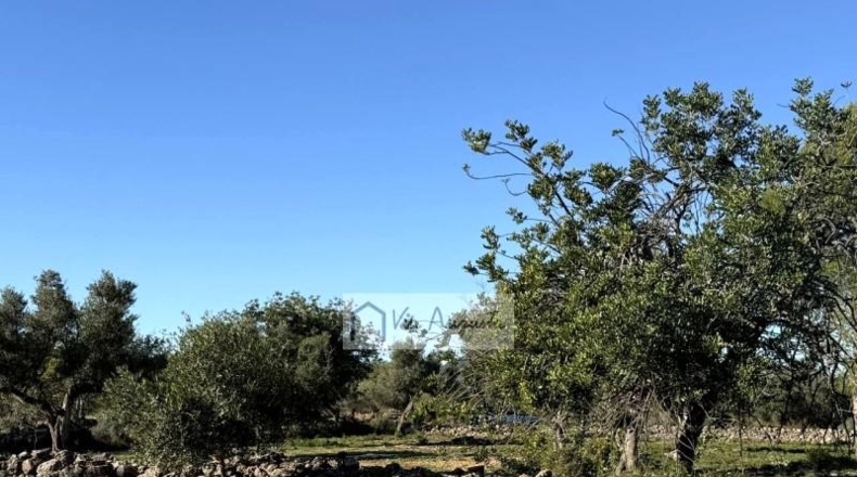 Tarragona - l'Ametlla de Mar - 24000m2