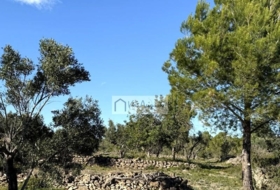 l'Ametlla de Mar 24000&nbsp;м²