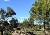 Non-developable land for sale on España, l'Ametlla de Mar, ref: TR362830 photo