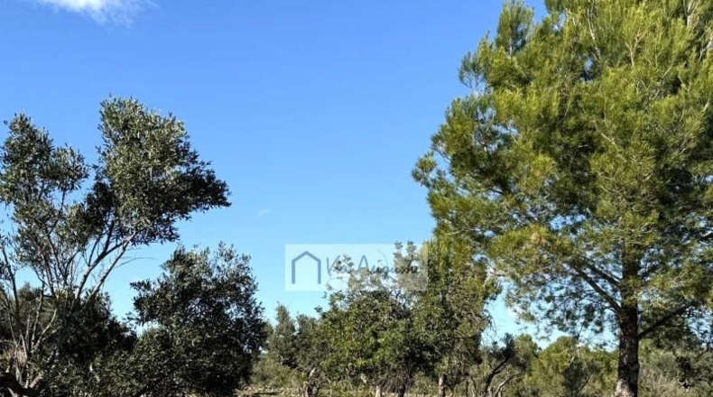 Tarragona - l'Ametlla de Mar - 24000m2