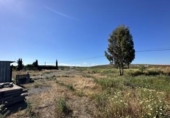 Casa de camp amb terreny en venda a la España, Las Cabezas de San Juan, ref.: TR297881 foto