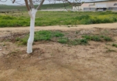 Parcel·la urbanitzable en venda a la España, Burguillos, ref.: TR126022 foto