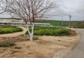 Parcel·la urbanitzable en venda a la España, Burguillos, ref.: TR126022 foto