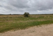 Parcel·la urbanitzable en venda a la España, Burguillos, ref.: TR126022 foto