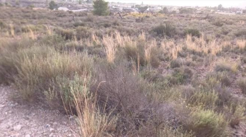 Murcia - Abanilla - 16182m2