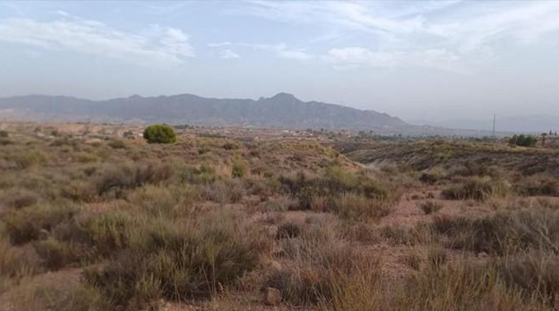 Murcia - Abanilla - 16182m2