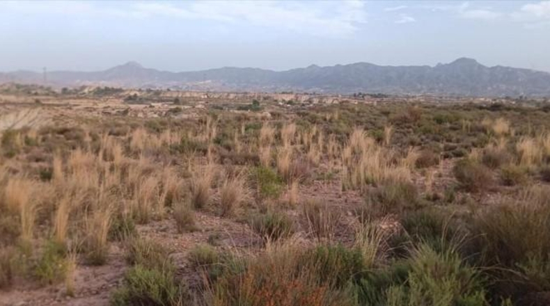 Murcia - Abanilla - 16182m2