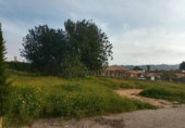 Non-developable land for sale on España, Torrent, ref: TR317878 photo