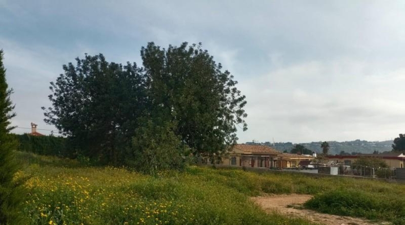 Валенсия - Torrente - 1200m2