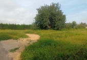 Non-developable land for sale on España, Torrent, ref: TR317878 photo
