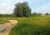 Non-developable land for sale on España, Torrent, ref: TR317878 photo
