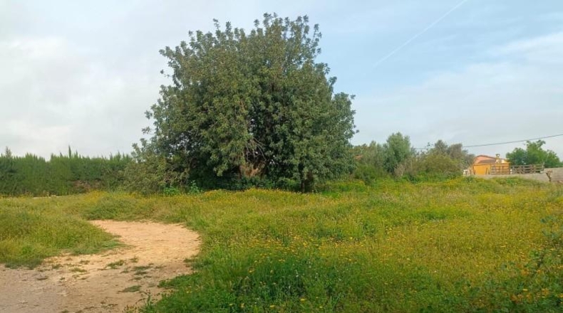 Валенсия - Torrente - 1200m2