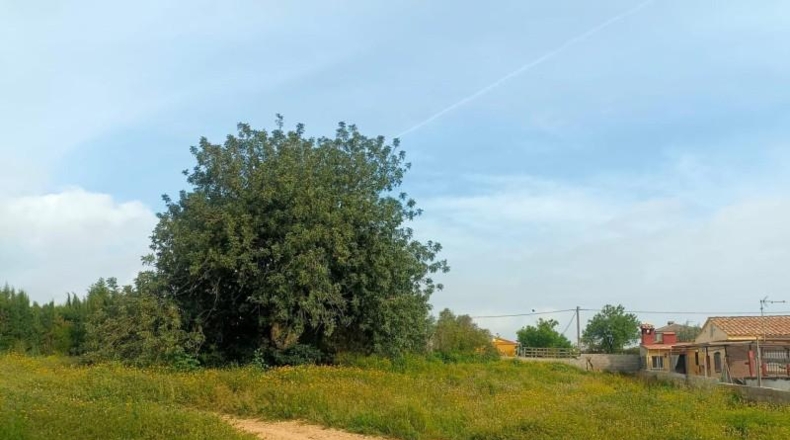 Валенсия - Torrente - 1200m2