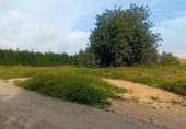 Non-developable land for sale on España, Torrent, ref: TR317878 photo