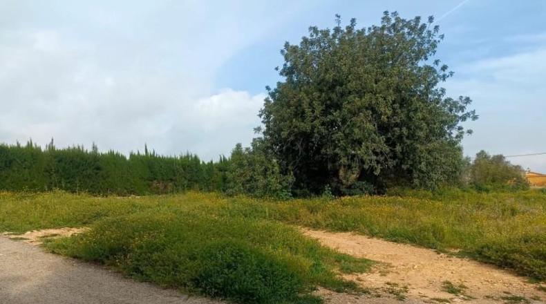 Валенсия - Torrente - 1200m2