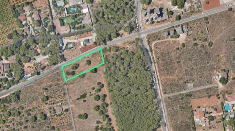 Alicante - Дения - 1550m2