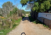 Terreny no urbanitzable en venda a la España, Dénia, ref.: TR373014 foto