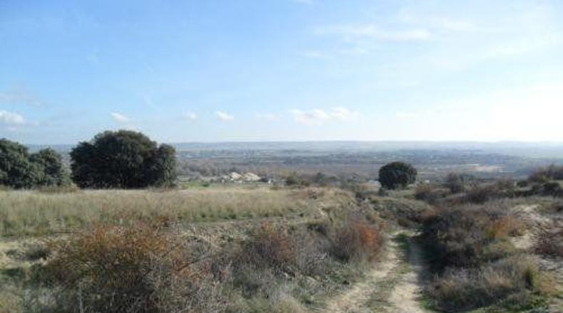 Comunidad de Madrid - El Molar - 28000m2