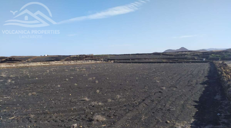 Лас-Пальмас - Tinajo - 7800m2
