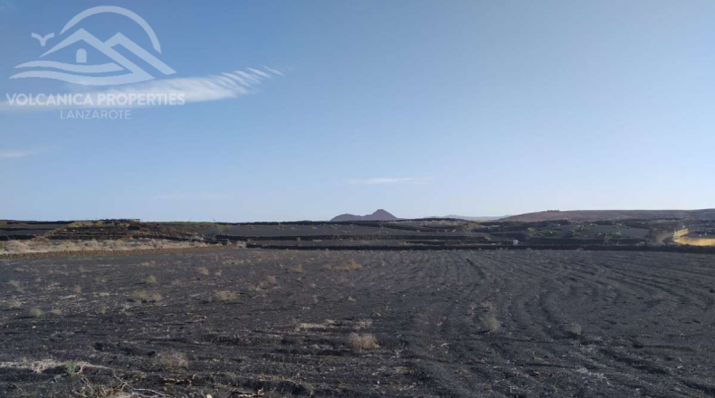 Лас-Пальмас - Tinajo - 7800m2