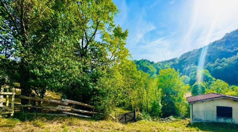 Астурия - Pola de Laviana - 1592m2