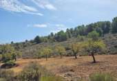 Non-developable land for sale on España, Fondón, ref: TR362711 photo