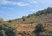 Non-developable land for sale on España, Fondón, ref: TR362711 photo