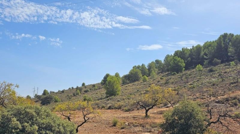 Lugo - Fondón - 61208m2