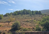 Non-developable land for sale on España, Fondón, ref: TR362711 photo