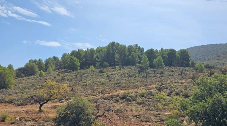 Lugo - Fondón - 61208m2
