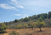 Non-developable land for sale on España, Fondón, ref: TR362711 photo
