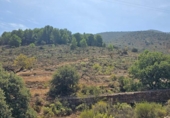 Non-developable land for sale on España, Fondón, ref: TR362711 photo