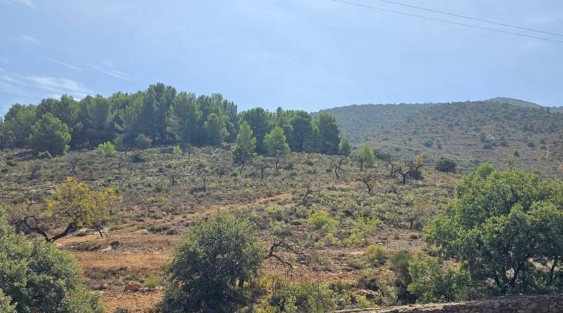 Lugo - Fondón - 61208m2