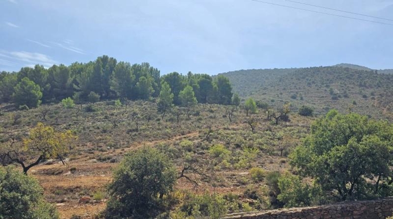 Lugo - Fondón - 61208m2