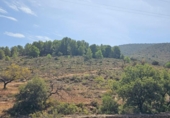 Non-developable land for sale on España, Fondón, ref: TR362711 photo