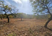 Non-developable land for sale on España, Fondón, ref: TR362711 photo