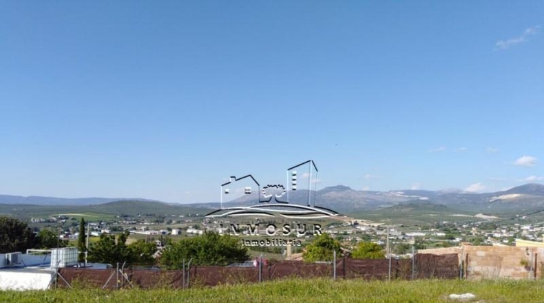 Córdoba - Lucena - 900m2