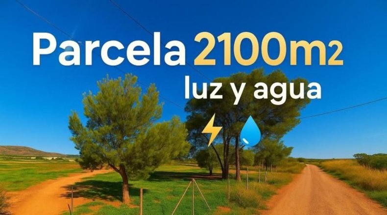 Murcia - Murcia - 2160m2