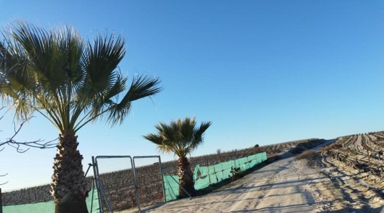 Cádiz - Sanlúcar de Barrameda - 5453m2