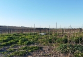 Terreny no urbanitzable en venda a la España, Sanlúcar de Barrameda, ref.: TR219769 foto