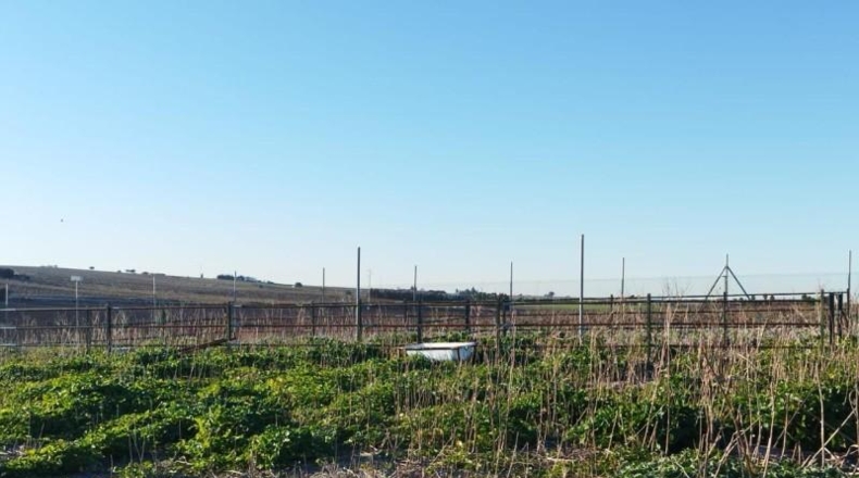 Cádiz - Sanlúcar de Barrameda - 5453m2