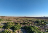 Terreny no urbanitzable en venda a la España, Sanlúcar de Barrameda, ref.: TR219769 foto