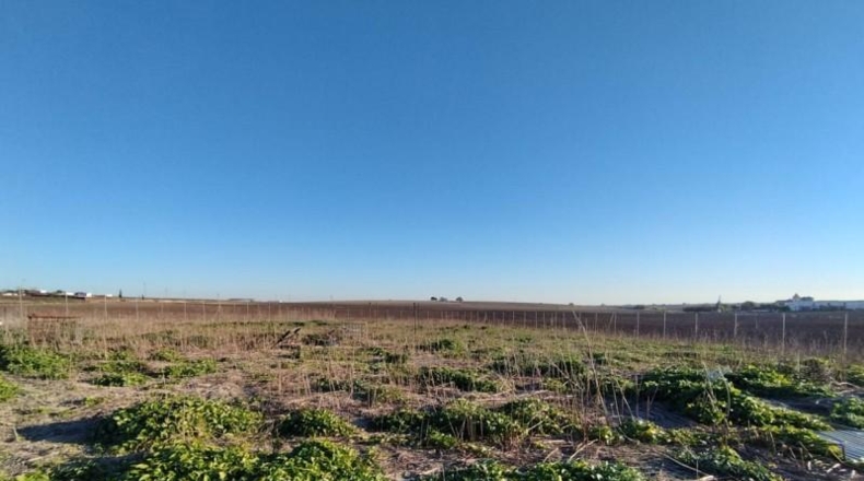 Cádiz - Sanlúcar de Barrameda - 5453m2