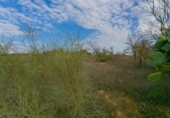 Land suitable for development for sale on España, Pinos Puente, ref: TR220828 photo