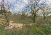 Land suitable for development for sale on España, Pinos Puente, ref: TR220828 photo